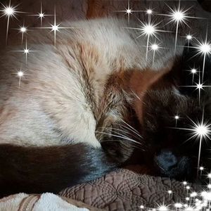 Meet your Posher, Sabrina